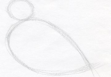 How To Draw A Bird