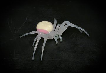 White and Pink Flower Crab Spider (Misumena vatia) - Borosilicate Glass Sculpture by Rafael Glass
