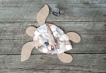 Shell Covered Sea Turtle