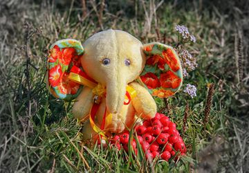 Puff the baby elephant