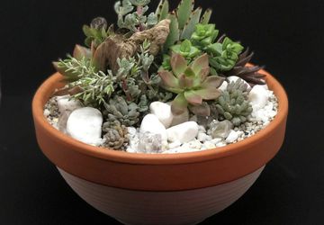 Succulent Planter Workshop