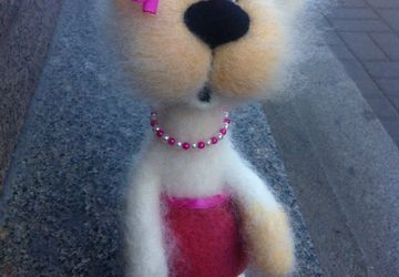 Saint-Pete's cat with a pink bow