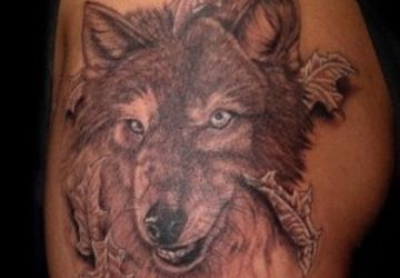 Wolf