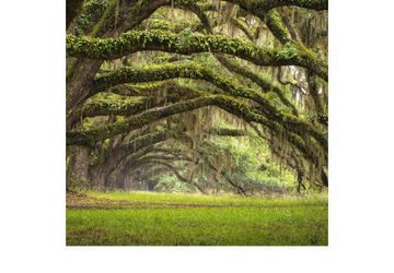 Crystal-Clear Acrylic For Graphics & Outdoor Signs | Power Graphics