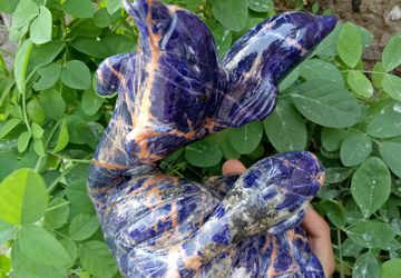 Full Dolphin Family (Weight 1480 Gram)