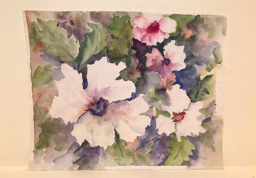 Original Watercolor Painting- Hibiscus