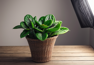 How to make a gift for motivational