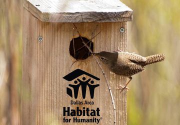 Summer Solstice Artspot 2018