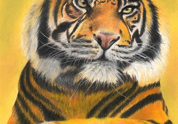 Tiger | Wildlife painting in soft pastels