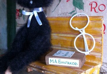 Black cat with glasses and a book
