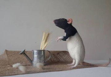 Pet rat portrait Memorial art doll Custom needle felted animal