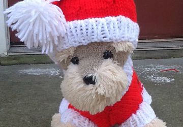 Santa paws Christmas petite dog sweater set