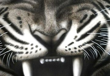 Tiger - a painting in aerographics without frame