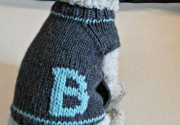 Personalized Dog Clothes - Monogrammed Dog Sweater - Handmade Dog Clothes - Pet Clothing - Small dog sweater - Puppy sweater - BubaDog
