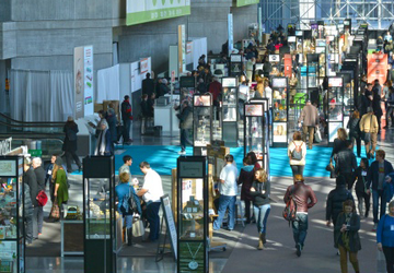 Market for Home Lifestyle and Gift