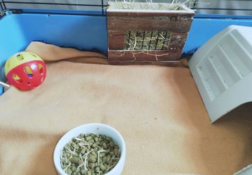 Handmade bespoke Fleece cage liners. For Guineapigs, Rabbits, Rodents and Hedgehogs.