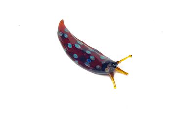 Amber Spotted Slug - Borosilicate Glass Sculpture