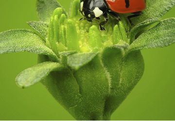 Eco-Friendly EcoStick Wall Graphic | Power Graphics