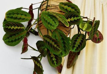 Decorative Pot out of PAPER BAGS!