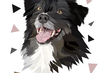 Custom Pet Portrait From Photo