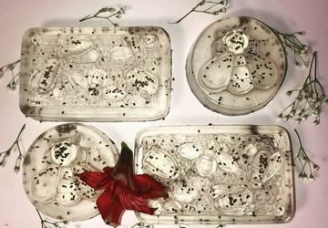 ALOE VERA w Chia Seeds Soap