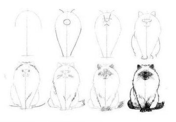 How To Draw Cats