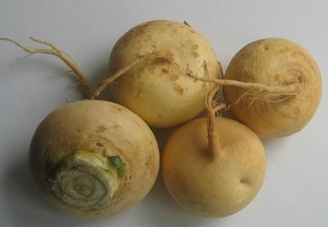 How To Cook Turnips