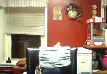 shell's craft corner