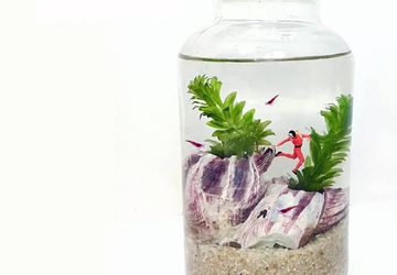 The World of Miniature Aquascapes