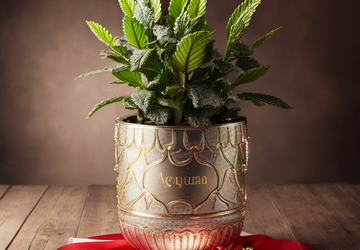 How to make a "gift for Aquarius