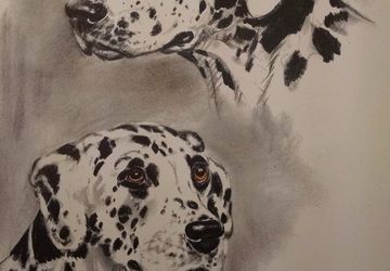 Dalmation-Portrait-by-Diana-Thorne-Original-Vintage-Plate-1944-Animal-Dog-Print