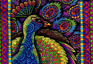 Colors of the Peacock