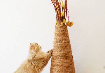 DIY scratching furniture for cats