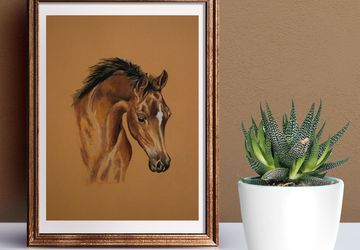 Pastel Baby Foal Original Drawing