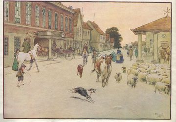 Cecil Aldin Vintage Antique Art Print-Color-Black Beauty-Horses-At Market-c1930