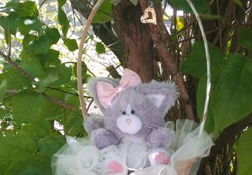 A kitten in a basket