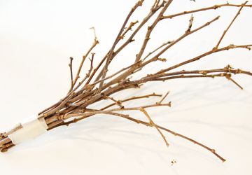 The Thankful Tree (tutorial)