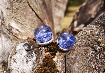Blue cornflower earrings