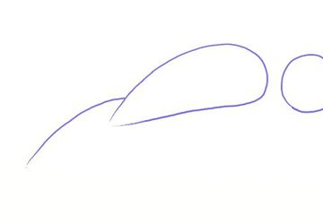How To Draw A Dolphin