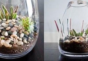 DIY florarium