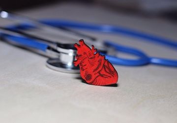 "Heart" - a brooch and a pendant