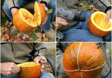 How To Make A Bird Feeder