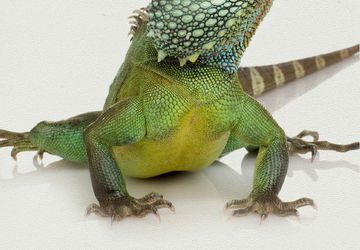 Buy Eco Floor Graphics | Power Graphics