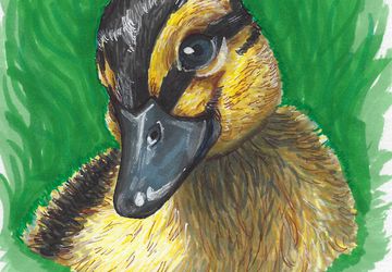 5.5"x8.5" Hand-painted Pet Portraits | Gift for Pet Owner, Animal Lover, Cat Lover, Dog Lover, Horse Lover | Pet Memorial, Pet Remembrance, Pet Loss