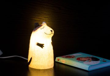 Rex felt lamp