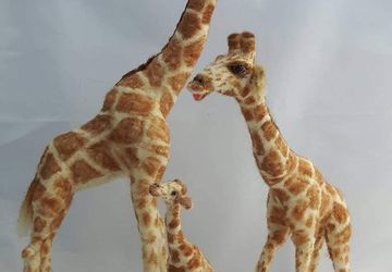 Giraffe family