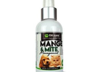 CBD for Dogs | Mange and Mite Management Spray