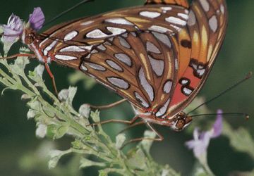 Make a Bold Statement With Promotional Floor Decals to Attract Customers