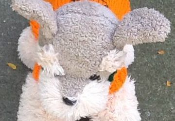 Trick or treat petite dog sweater