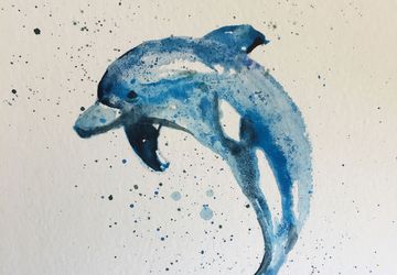 dolphin watercolor